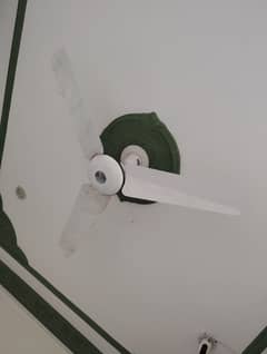 Pak