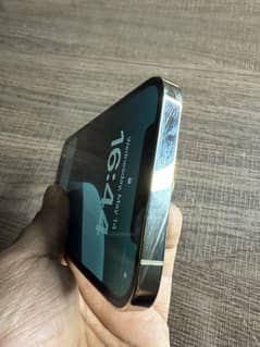 12 pro PTA Dual 256GB