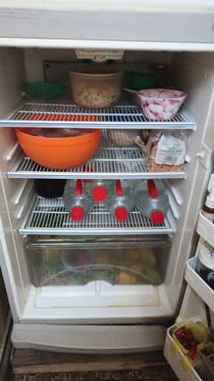 Fridge