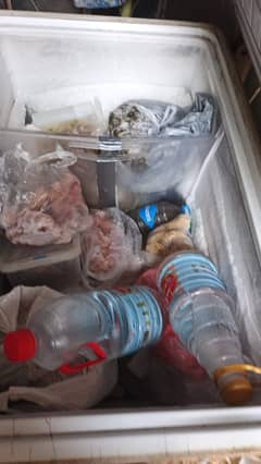 Freezer