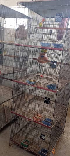 birds cages second hand 4 floor