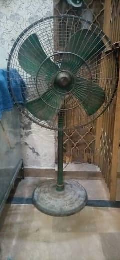 Fan