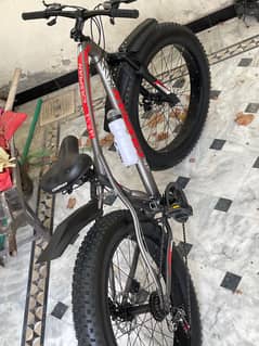 Fatty tyre cycle