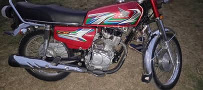 125 23 model in cheet