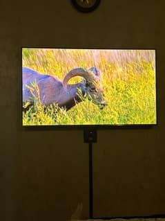 smart tv pro