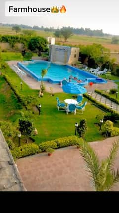 Farm House swimming pool for rent