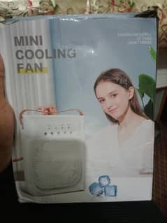 Air Coolers