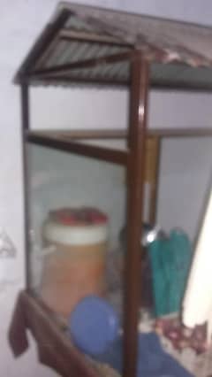 for sale