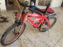 Bi Cycle