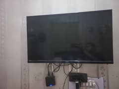 Haier