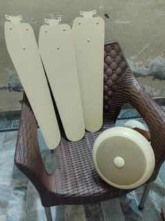 Cooper Ceiling Fan - Slightly Used - Excellent Working Condition