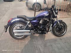 shelby harley davidson