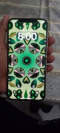 12 pro max (256gb)