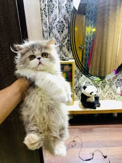 PIKI