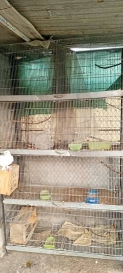 Glavnised Wire 8 Portion Folding Cage