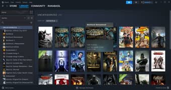 Steam Account Rental (More Than 30 Games)