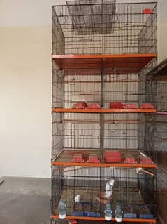 8 Portion Folding cage
