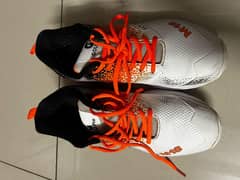 sports shoes