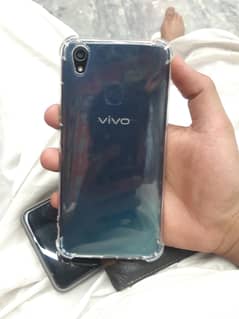 Vivo