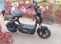 BENLG Mini Classic Scootie