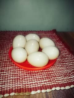 Desi eggs