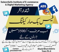 SalesnSells Institute of E-commerce & Digital Marketing Agency