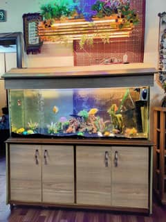 Large decorative aquarium with cabinet with all accessories