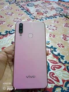 vivo