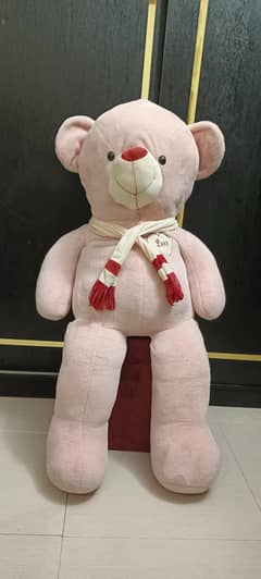4.5 Feet Teddy Bear 