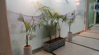 aesthetic clinic for sale