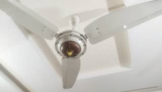 Ceiling fan