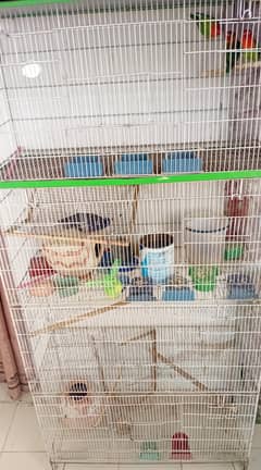 cage