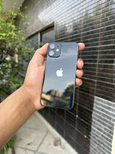 iphone 12 mini