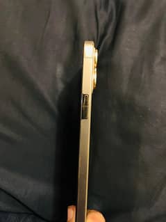 iPhone 12 pro max pta pro