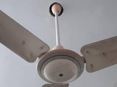Ceiling