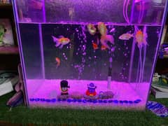 Aquarium