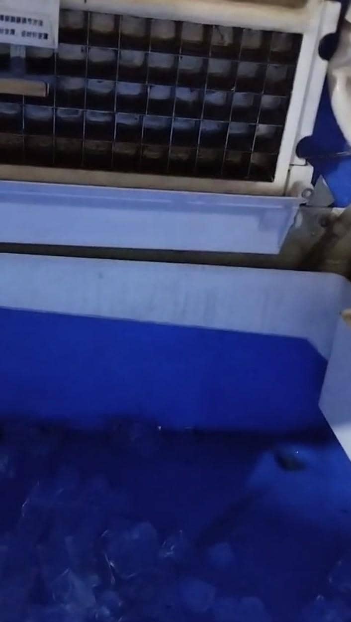 Ice cube maker machine 5