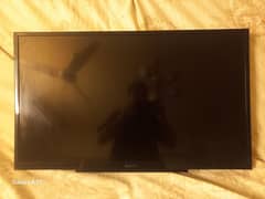 SONY BRAVIA