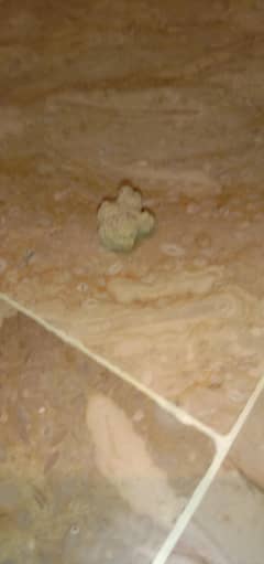 star shape stone