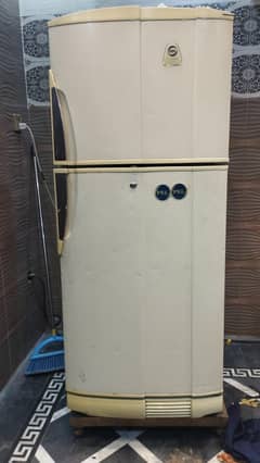PEL Classic Refrigerator