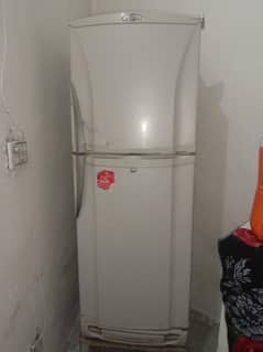 pel refrigerator 14 cubic
