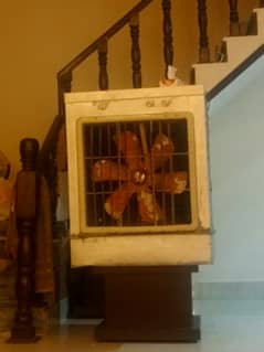 Air Cooler