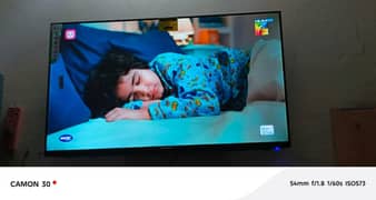 TCL