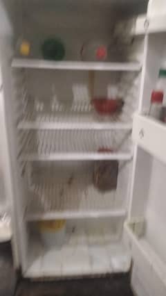 PEL freezers sell urgent