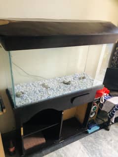 3 feet aquarium