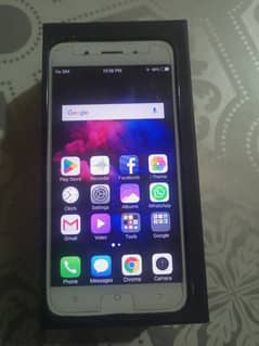 vivo