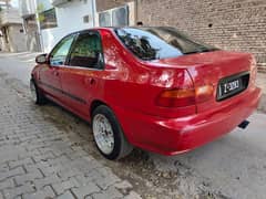 honda civic dholpin