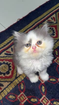 Peki