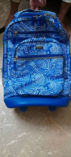 Mr Bags