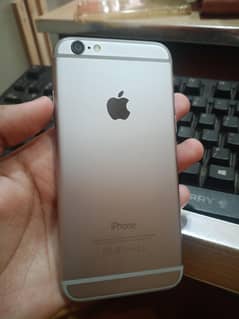 iphone 6